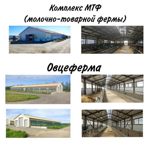 foto 2025 06 05 09 44 002