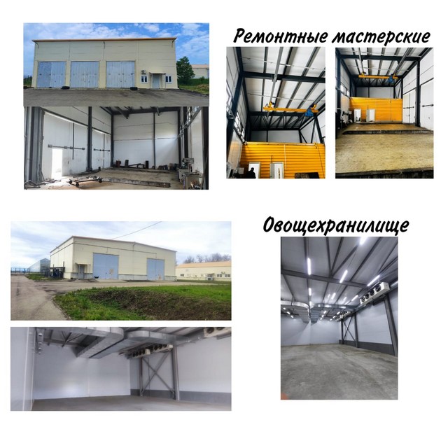 foto 2025 06 05 09 44 004